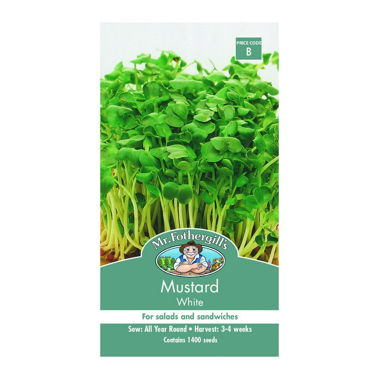 Mustard White Seeds